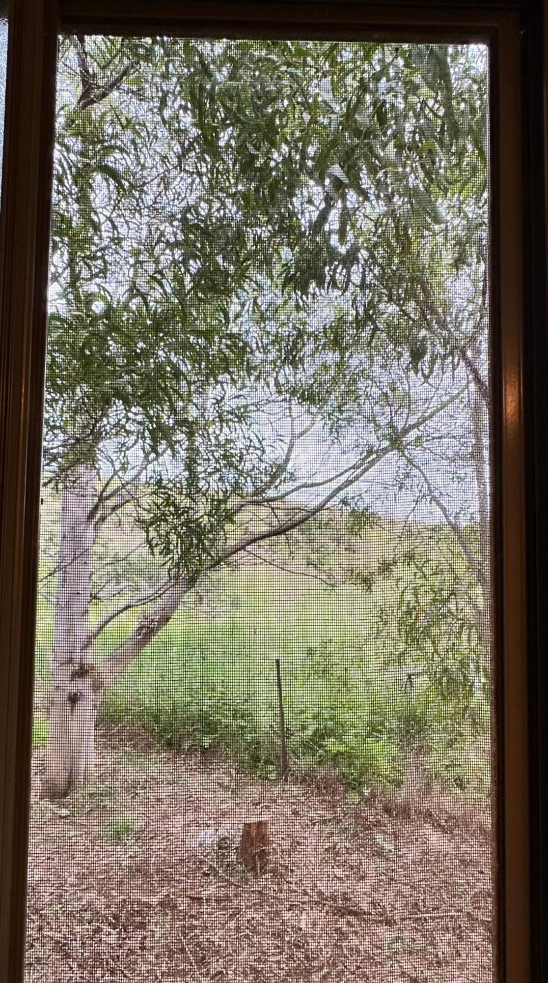 Convict Beach House Saltwater River Kamer foto